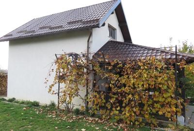 Proprietate Sannicoara, teren 1000 mp! - 5