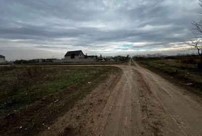 Teren intravilan 750 mp Tunari Stejarului - 6