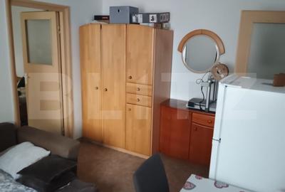 Apartament semidecomandat, cu 2 camere, 29 mp, zona Albac - 5