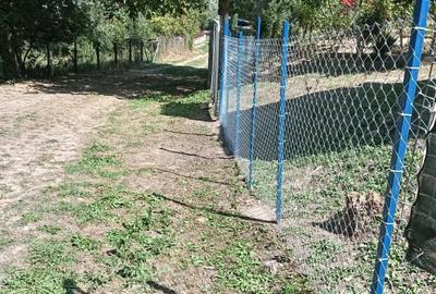 Teren de 10000 mp, în Tomșani - 16