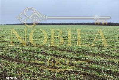 Teren de 28000 mp, în Central - 1