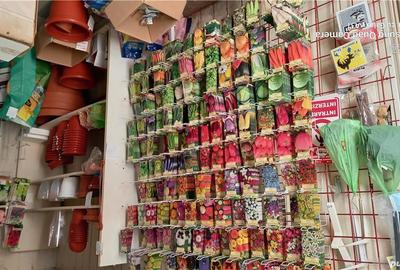 Spațiu comercial, de 40 mp, în Sighișoara - 1