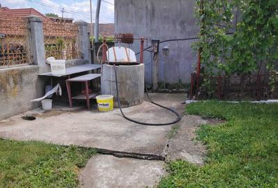 Casă cu 2 camere în Viișoara - 8