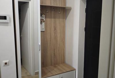 Apartament cu 2 camere decomandat în Olteni - 8