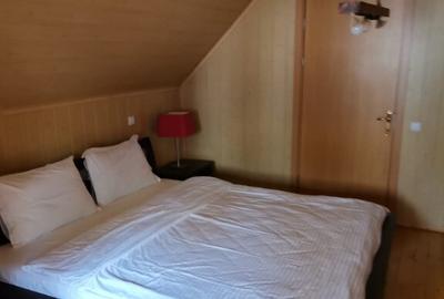 Cabana vacanta 4 dormitoare Azuga, Prahova - 6