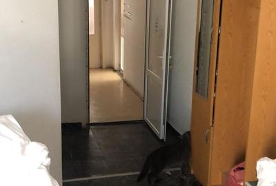 Hala productie P+1E si teren intravilan 2992 mp, Piatra Neamt - 3