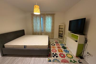 Apartament 4 camere cu curte proprie, curte comuna si 2 locuri de parcare - 4