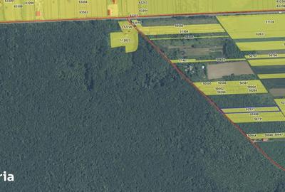 Teren de 4701 mp, în Gruiu - 4