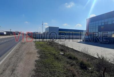 Hala cu birouri de vânzare în Buftea - 3