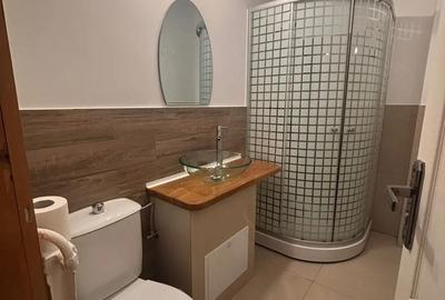 Dau in chirie garsoniera apartament cu o camera Manastur - 4