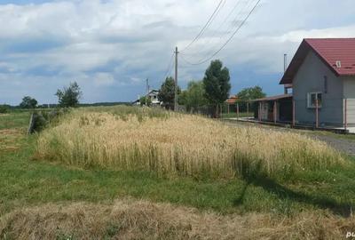 Teren de 3960 mp, în Crucișoara