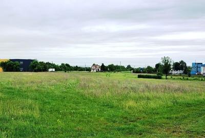 Vanzare Teren  industrial  3000mp Magurele Vanzare Teren  industrial  3000mp Magurele - 8