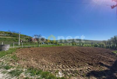 Teren Construcții intravilan de 2942 mp, în Ciurila - 3