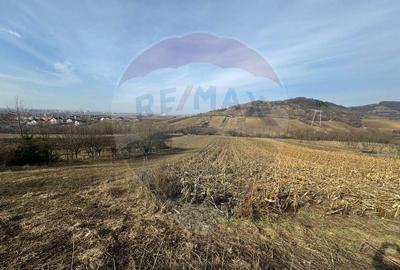 Teren PUZ aprobat , 2.500mp Sibiu / Strada Gorunului Teren PUZ aprobat , 2.500mp Sibiu / Strada Gorunului - 3