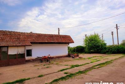 Domeniu, 9,5 ha, 25 KM de Timisoara - 9