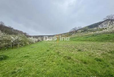 Teren de 950 mp, în Central