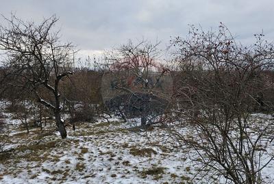 Teren 10,000mp Rada?eni / ?oseaua DN2-E85, jude?ul S... - 6