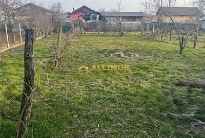 Casă cu Teren 758 Mp în Negoiești - 11