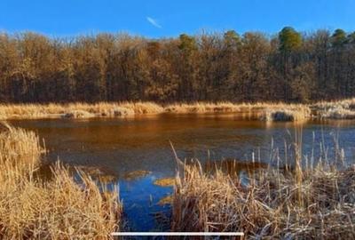 Teren de 1000 mp, în Bălteni - 2