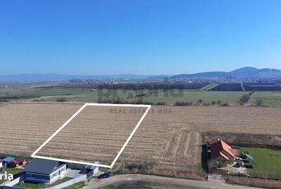 Teren de 6400 mp, în Stupini - 4