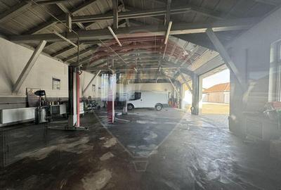 Service Auto de Inchiriat Complet Echipat, Pregatit... - 11