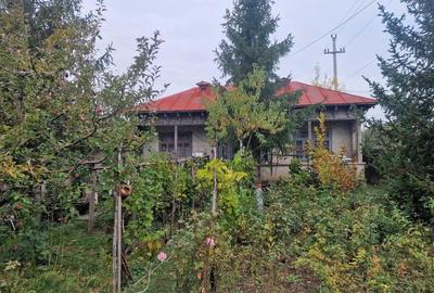 Casa +Teren1300mp[livada+vie] Sat Izvoru Giurgiu - 4