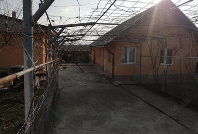 Casa de vanzare Iepuresti - 2
