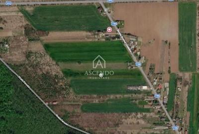 Teren Construcții intravilan de 704 mp, în Siliștea Snagovului - 1