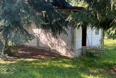 Proprietar, vand casa parter+etaj, 150 mp, curte 3438 mp, Avram Iancu - 2