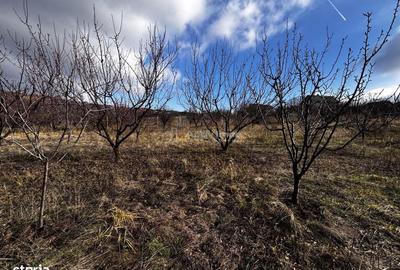 Spațiu comercial, în Central - 4