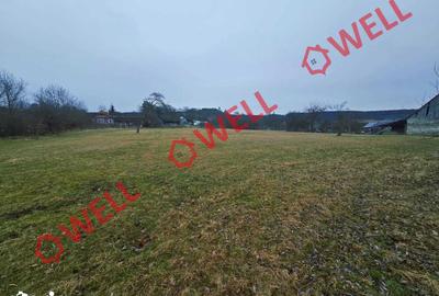 Teren de 5296 mp, în Hoghiz - 2