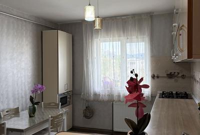 Apartament cu 2 camere semidecomandat în 9 Mai - 2