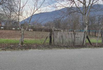 Spațiu comercial, în Jiblea Nouă - 1