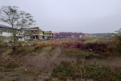 Teren în Corbeanca - 1