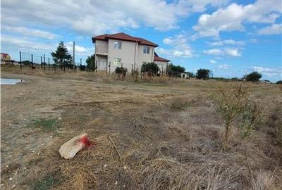 Viitorul Tau Incepe Aici - Teren de 614 mp in Viile Noi - 2