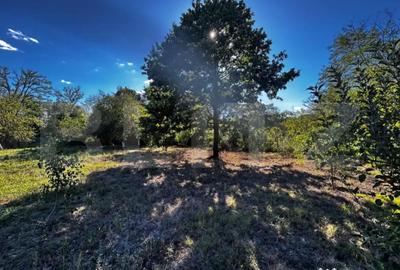 Casă cu 3 camere cu Teren 1173 Mp în Debarcader - 6