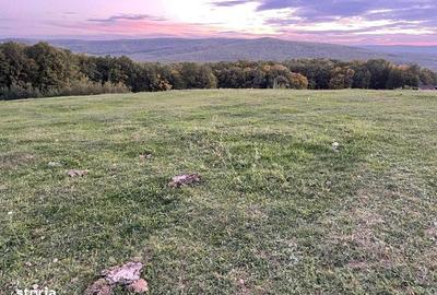 Teren de 1100 mp, în Bârnova - 2