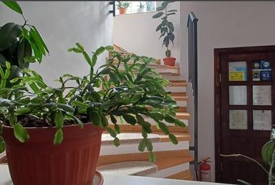 Casa indviduala, cu curte proprie, Bunloc ,Sacele - 34