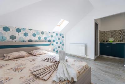 Hotel/Pensiune, de 20 mp, în Vest - 7