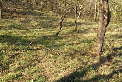 Teren de 1668 mp, în Central - 4