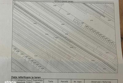 Teren de 4800 mp, în Mărăcineni - 2