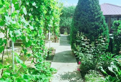 Colt de rai refugiul tău verde în inima naturii - 2