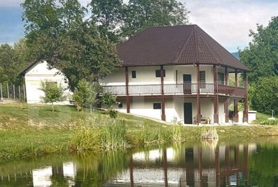 Casa cu 5 camere, 116 mp+teren 83 ari +lac de pesti, zona B - 13