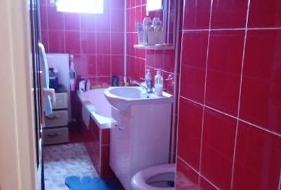 Vanzare casa ?ara - 1