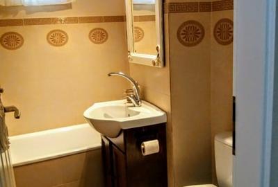 Apartament cu 3 camere decomandat, mobilat în Lipovei - 9