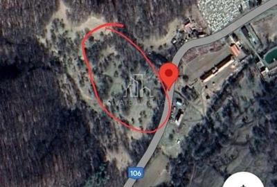 Teren de vanzare intravilan, 10 000 Mp , Sighisoara - 1