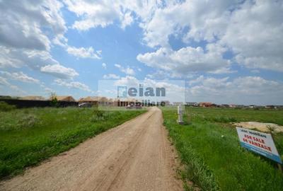 Domnesti - Str Cetinei, 697 Mp Intravilan, Deschidere 28, Utilitati - 8