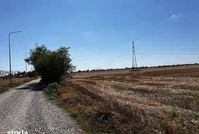 Teren de 12500 mp, în Periș - 2