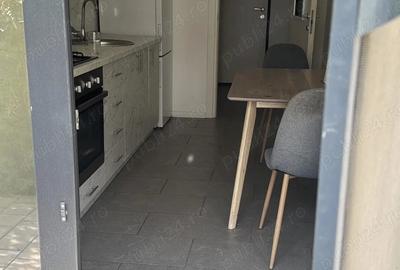 Apartament cu 2 camere decomandat, mobilat în Chitila - 3