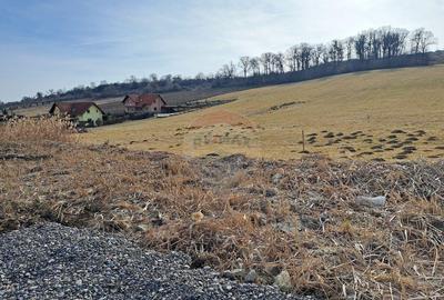 Teren pentru contructie Reghin / Strada Pometului - 13